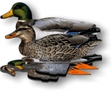 Mallard Duck Decoys in Box of Six (3 Drake & 3 Hen)